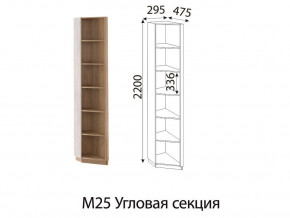 М25 Угловая секция в Тобольске - tobolsk.магазин96.com | фото