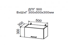 Шкаф верхний ДПГ500 горизонтальный в Тобольске - tobolsk.магазин96.com | фото