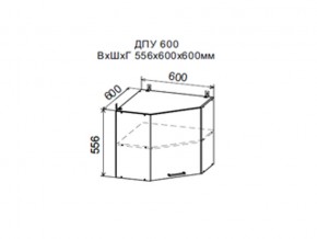 Шкаф верхний ДПУ600 угловой в Тобольске - tobolsk.магазин96.com | фото